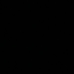 Meet your Posher, Traniece